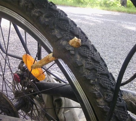 Палка проткнула велосипедное колесо