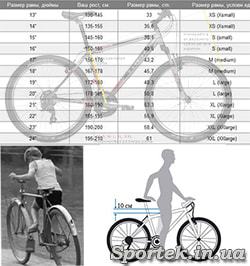 Колеса 24 на какой возраст. Диаметр колес взрослого велосипеда. Велосипед по росту. Размер колёс велосипеда по росту для мужчин. Размер рамы велосипеда на 8 лет.