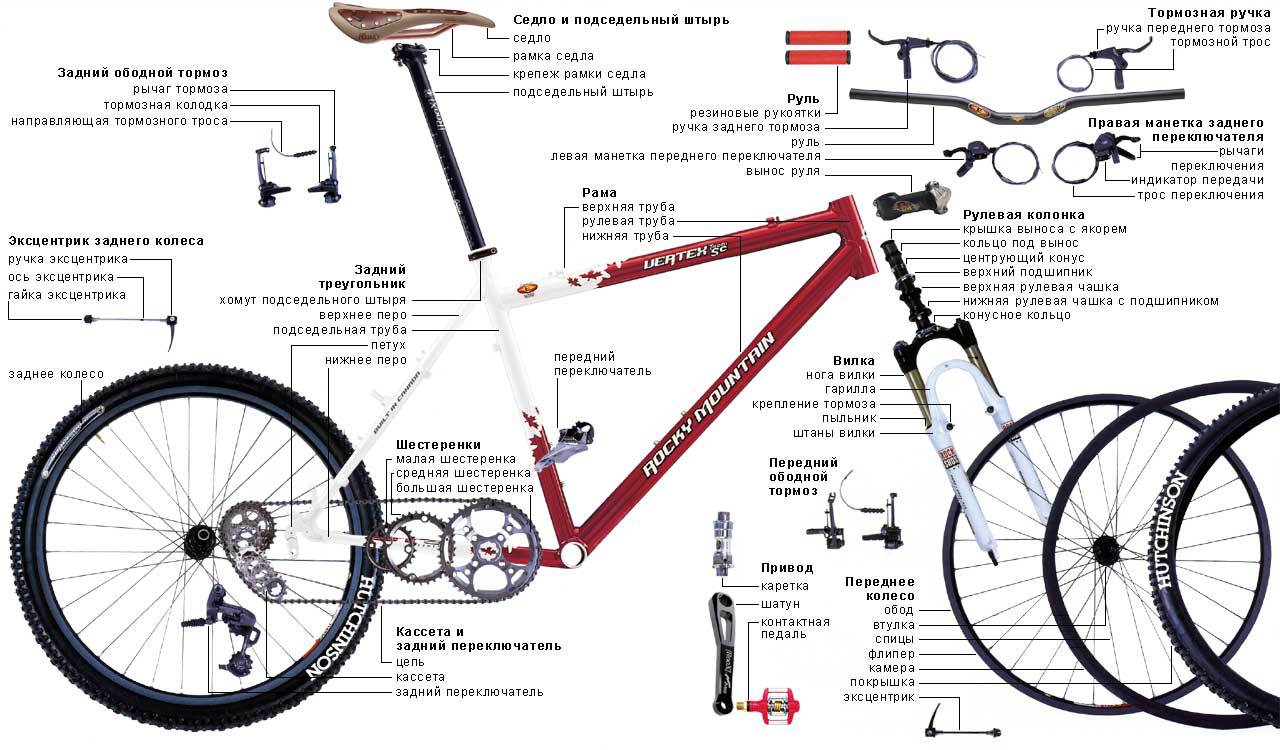 Велорикша своими руками из велосипеда чертежи (35 фото)
