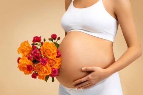 Как правильно выбрать бюстгальтер для беременных