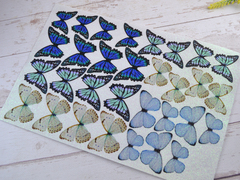 Метелики  для вирізання блакитні в листах