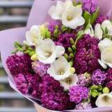 Photo of Bouquet of 27 hyacinths and freesias «Purple Luxury»