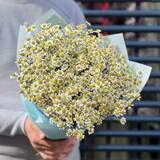 Photo of Bouquet «Chamomile Kiss»