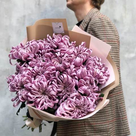 17 chrysanthemums «Lilac pleasure»