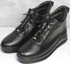 Модные женские ботинки Evromoda 375-1019 SA Black