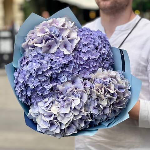 5 hydrangeas in a bouquet «Heavenly Azure», Flowers: Hydrangea, 5 pcs.