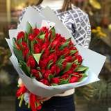 Photo of 45 red fringed tulips
