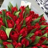 Photo of 45 red fringed tulips