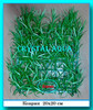 Растение Атман, коврик 20x20 см
