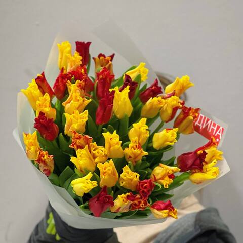 45 bright kisses tulips, Flowers: Tulipa