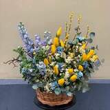 Photo of Flower basket «Power of Spring!»