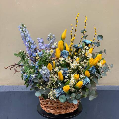 Flower basket «Power of Spring!», Flowers: Tulipa, Narcissus, Delphinium, Chamelaucium, Dianthus, Eucalyptus, Oxypetalum, Willow