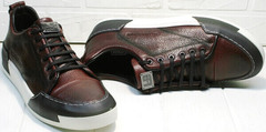 Мужские кеды кожа. Кроссовки для ходьбы по асфальту Luciano Bellini C6401 MC Bordo.