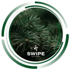 Бестабачная Смесь Swipe Easy Needles (Свайп Хвоя) 50г