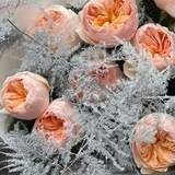 Photo of Snowy bouquet with Juliet peony roses «Sophistication for Juliya»