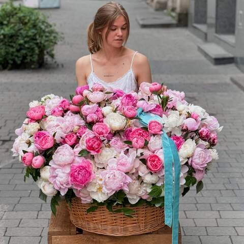 Huge basket of 501 peonies «You are my Universe!», Flowers: Paeonia, 501 pcs.