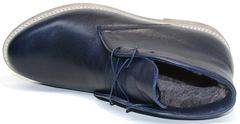 Зимние ботинки мужские кожаные Ikoc 004-9 S