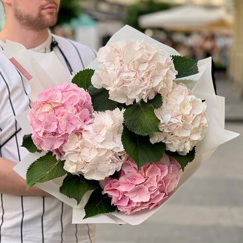 5 hydrangeas in a bouquet «Light Ray», Flowers: Hydrangea, 5 pcs.