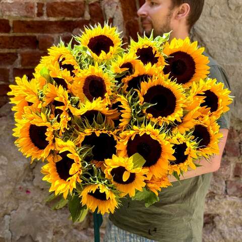 Photo of Huge bouquet of 25 sunflowers «Solar Gravity»