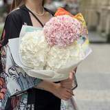 Photo of 3 white and pink hydrangeas in a bouquet «Raspberry Marzipan»