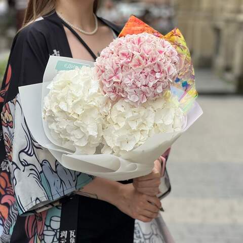 3 white and pink hydrangeas in a bouquet «Raspberry Marzipan», Flowers: Hydrangea, 3 pcs.