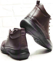 Осенние ботинки женские кеды Evromoda 535-2010 S.A. Dark Brown.
