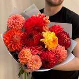 Photo of Mix of 15 bright dahlias «Fiery»