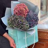 Photo of 3 hydrangeas in a bouquet «Autumn drawing»