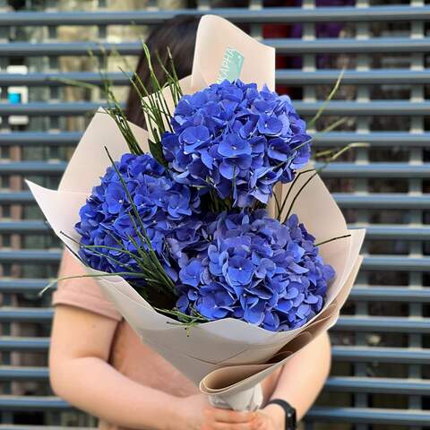 Bouquet of 3 hydrangeas «Blue eyes», Flowers: Hydrangea