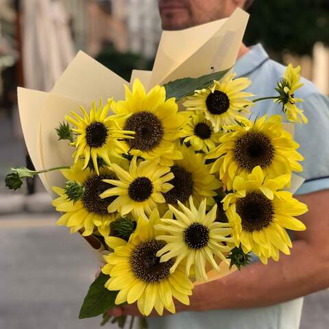 11 sunflowers in a bouquet «Solar Dust», Flowers: Helianthus, 11 pcs.