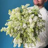 Photo of Bouquet with 45 branches of white lilac «Fragrant meringue»