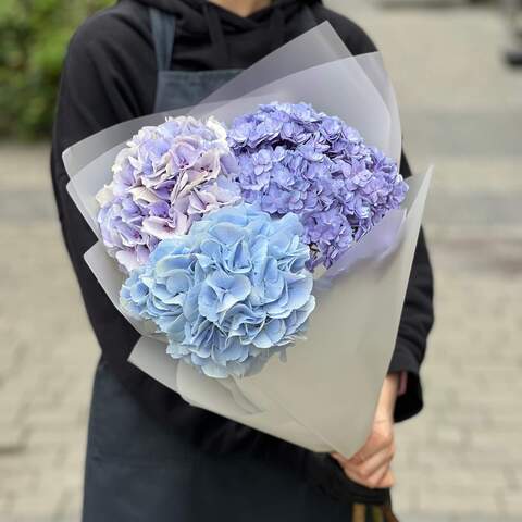 3 hydrangeas in a bouquet «Blue Sky», Flowers: Hydrangea, 3 pcs.