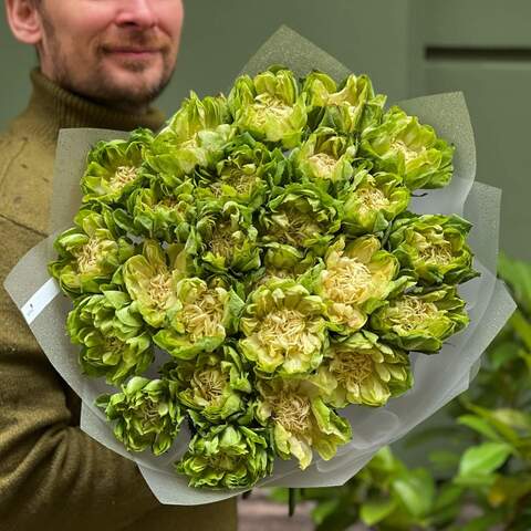 Bouquet of 25 exclusive greenish Kvitna dragon roses, Flowers: Rose