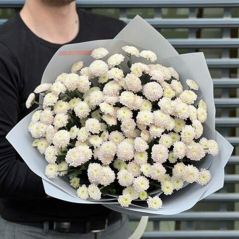 Photo of 25 chrysanthemums in a bouquet «Gentle chrysanthemum»
