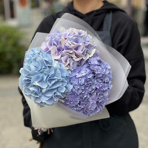 Photo of 3 hydrangeas in a bouquet «Blue Sky»