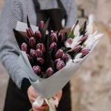 Photo of Bouquet of 25 VIP-tulips Brownies