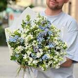 Photo of 67 oxypetalums in a bouquet «Heavenly flowers»