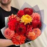 Photo of Mix of 15 bright dahlias «Fiery»