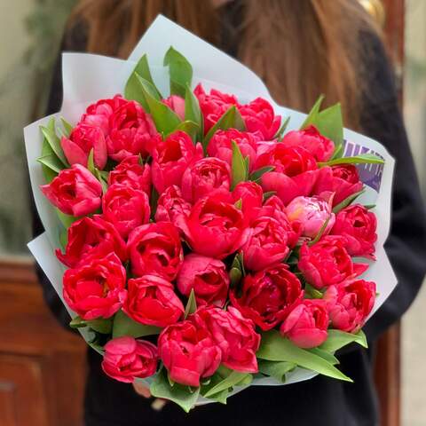 35 красных пионовидных тюльпанов, Цветы: Тюльпан пионовидный