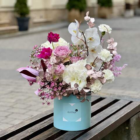 Charming composition in a box with amaryllis and anemones «Silver Fairy tale», Flowers: Dianthus, Phalaenopsis, Asparagus, Rose, Hydrangea, Hippeastrum, Anemone, Chamelaucium