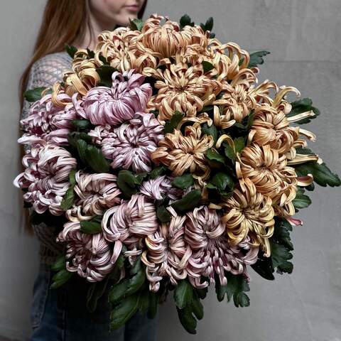 Mix of 17 incredible Vienna chrysanthemums, Flowers: Chrysanthemum of Vienna variety, 17 pcs.