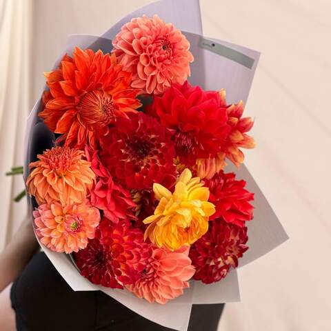 Photo of Mix of 15 bright dahlias «Fiery»