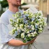 Photo of 67 oxypetalums in a bouquet «Heavenly flowers»
