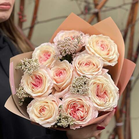 Exquisite bouquet of peony roses of Mayra's Bridal Pink variety & ozothamnus «Her Mysteriousness», Flowers: Ozothamnus, Pion-shaped rose of Mayra's Bridal Pink variety - 9 pcs.