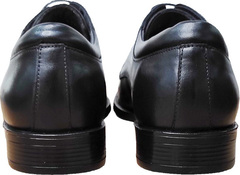 Кожаные туфли мужские классические Luciano Bellini 23KF810 Black Leather.