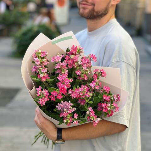 23 ветки розового оксипеталума в букете «Цветочек лепесточек», Цветы: Оксипеталум