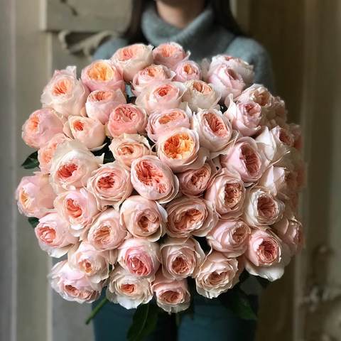 51 піоновидна троянда «Juliet», Найромантичніша піоновидна троянда Джульєта, коли є і можливість і смак.Букет, який точно здивує!