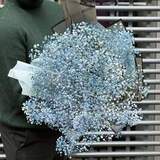 Photo of Bouquet of 9 gypsophila «Blue dream»