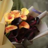 Photo of Mix of 15 peach and black calla lilies
