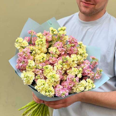 39 matthiolas in a bouquet «Warm matthiola», Flowers: Matthiola